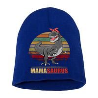 Mamasaurus T Rex Dinosaur Funny Mama Saurus Family Matching Hoodie Short Acrylic Beanie