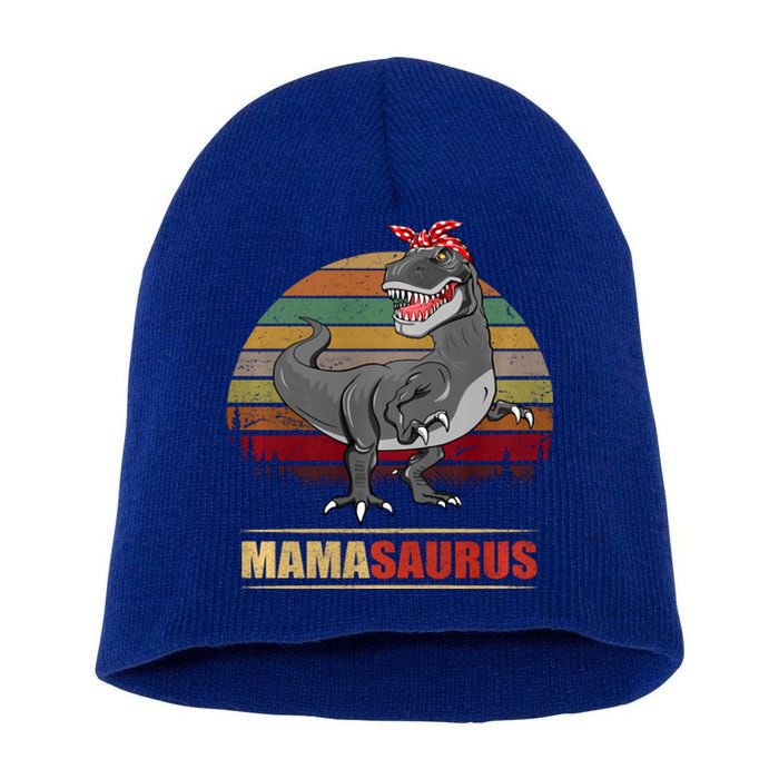 Mamasaurus T Rex Dinosaur Funny Mama Saurus Family Matching Hoodie Short Acrylic Beanie