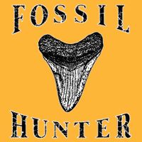 Megalodon Tooth Sharks Tooth Fossil Hunter Paleontologist Pom Pom 12in Knit Beanie