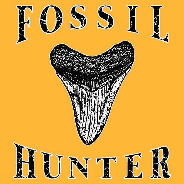 Megalodon Tooth Sharks Tooth Fossil Hunter Paleontologist Pom Pom 12in Knit Beanie
