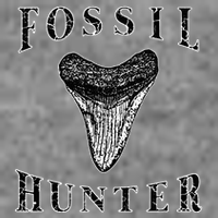 Megalodon Tooth Sharks Tooth Fossil Hunter Paleontologist 7-Panel Snapback Hat
