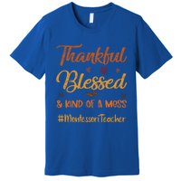 Montessori Teacher Thankful Blessed And Kind Of A Mess Fall Cute Gift Premium T-Shirt