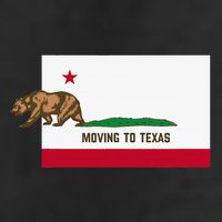 Moving To Texas Leaving California Funny Designed Beanie
