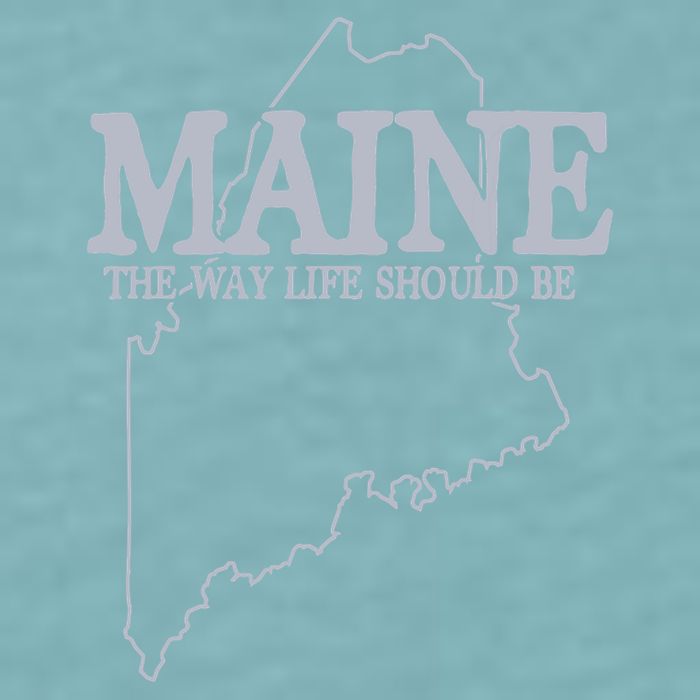 Maine The Way Life Should Be State Pride Graphic Sueded Cloud Jersey T-Shirt