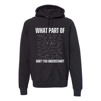 Math Teacher What Part Of DonT You Understand Premium Hoodie