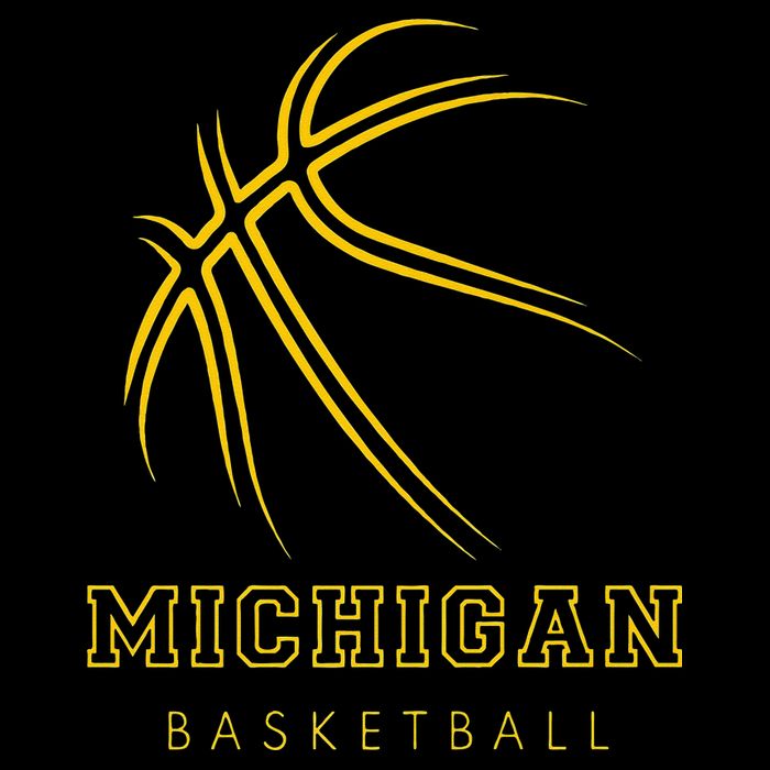 MI The Wolverine State Graphic Art Michigan Basketball Fan Short Acrylic Beanie
