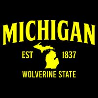 Michigan The Wolverines State Cropped Pullover Crew