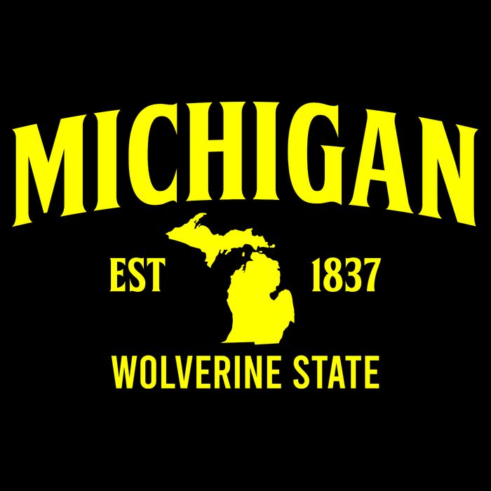 Michigan The Wolverines State Cropped Pullover Crew