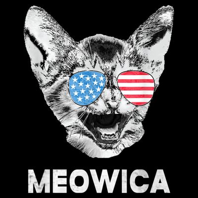 Meowica Usa American Flag Cat July 4 T-Shirt