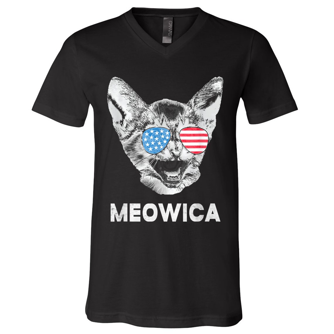 Meowica Usa American Flag Cat July 4 V-Neck T-Shirt