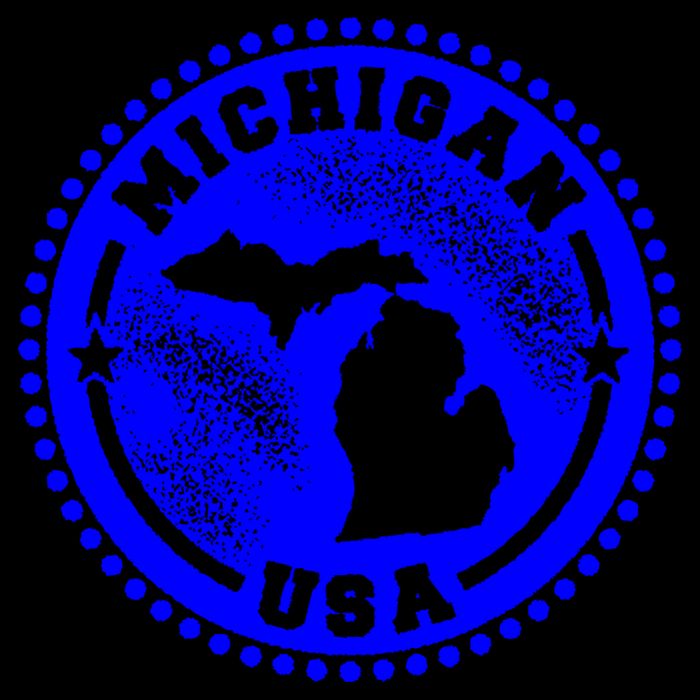 Michigan USA Blue Logo 16 in Basic Backpack
