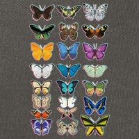 Multi Butterflies Botanical Species Cotton Canvas Backpack