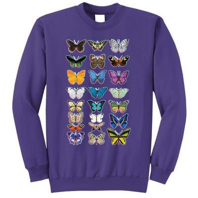 Multi Butterflies Botanical Species Sweatshirt