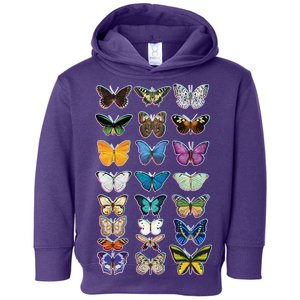 Multi Butterflies Botanical Species Toddler Hoodie