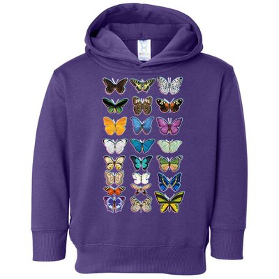 Multi Butterflies Botanical Species Toddler Hoodie