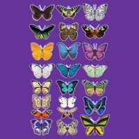 Multi Butterflies Botanical Species Women's V-Neck T-Shirt