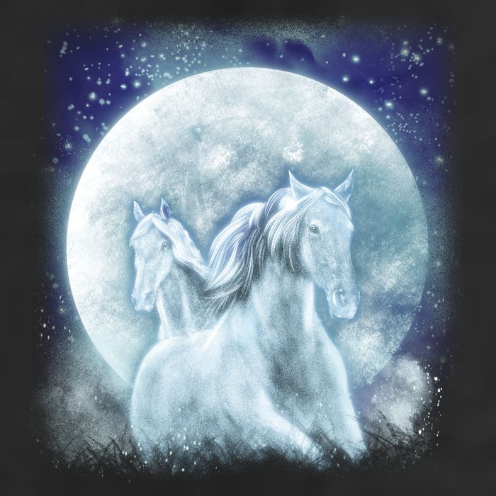 Mystic Unicorn Moon Garment-Dyed Heavyweight T-Shirt