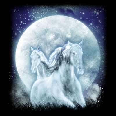 Mystic Unicorn Moon T-Shirt