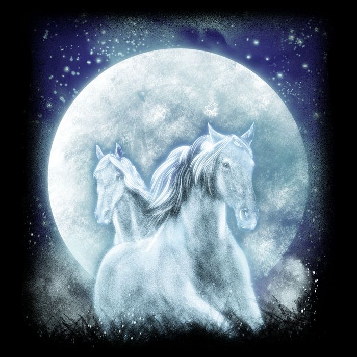 Mystic Unicorn Moon Wool Snapback Cap