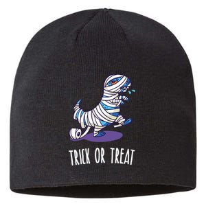 Mummy Dinosaur Sustainable Beanie