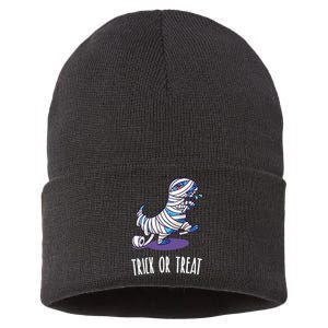 Mummy Dinosaur Sustainable Knit Beanie