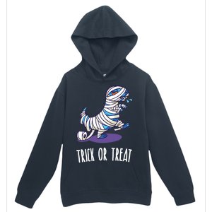 Mummy Dinosaur Urban Pullover Hoodie