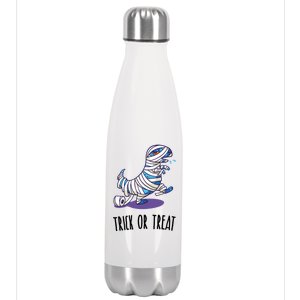 Mummy Dinosaur Stainless Steel Insulated Water Bottle