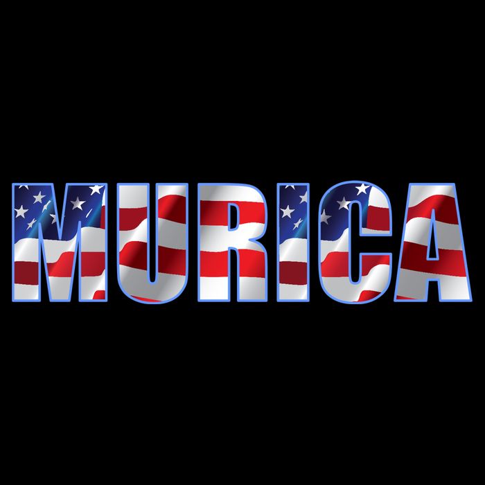 Murica Fourth of July USA Retro Vintage Style Crop Top