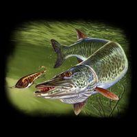 Muskie Tall T-Shirt