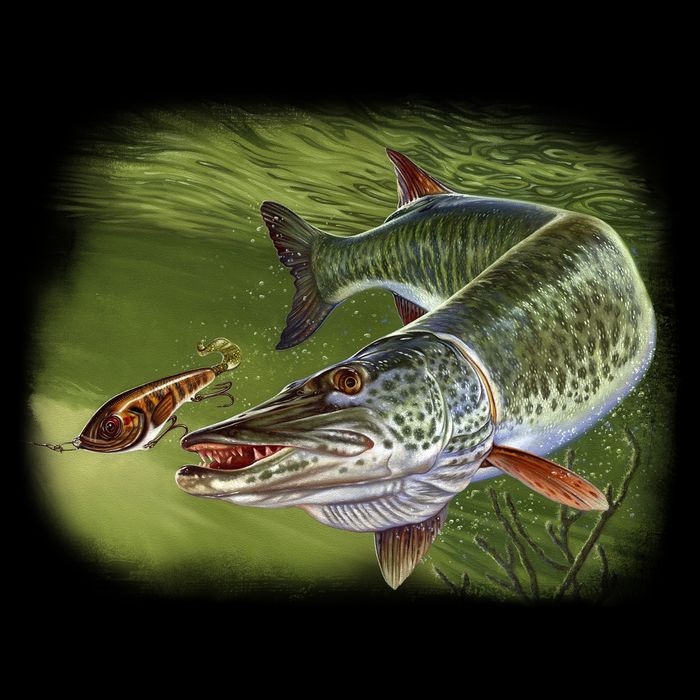Muskie Tall T-Shirt
