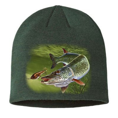 Muskie Sustainable Beanie