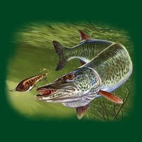 Muskie Visor