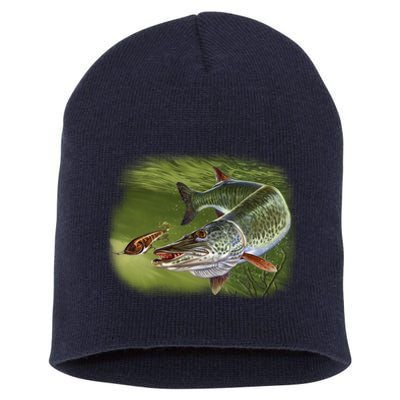 Muskie Short Acrylic Beanie