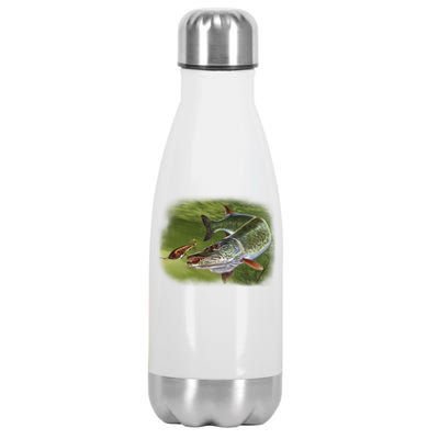 Muskie Stainless Steel Insulated Water Bottle