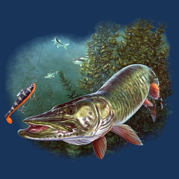Musky Chase Fishing Cool Comfort Performance Bucket Hat