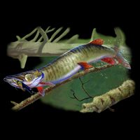 Musky Escape Route Fishing Cooling Performance Crew T-Shirt