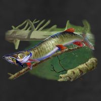 Musky Escape Route Fishing Trucker Hat