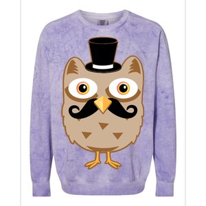 Mustache Owl With Hat Colorblast Crewneck Sweatshirt