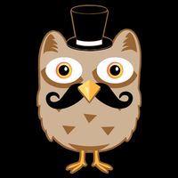 Mustache Owl With Hat Premium T-Shirt