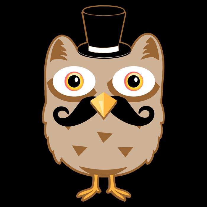 Mustache Owl With Hat Premium T-Shirt