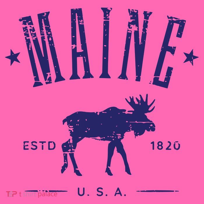 Maine Usa With Moose Distressed Design Souvenir Stripe Pom Pom Beanie