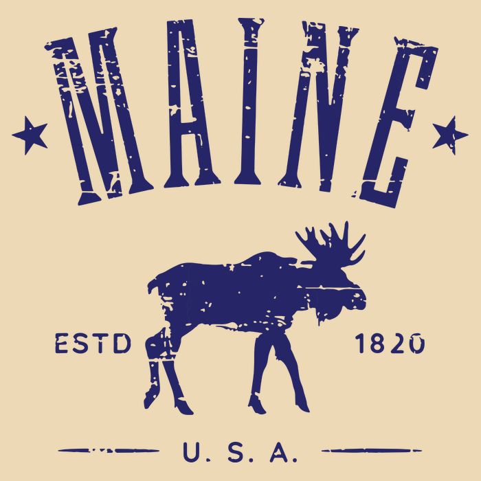 Maine Usa With Moose Distressed Design Souvenir Bag