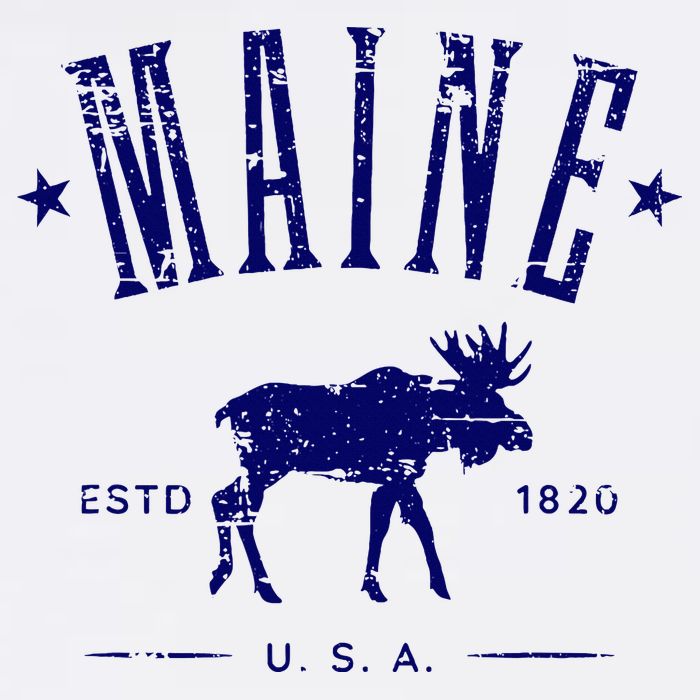 Maine Usa With Moose Distressed Design Souvenir Sustainable Bucket Hat