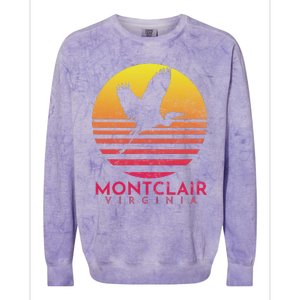 Montclair Virginia Distressed Retro Sunset Heron Colorblast Crewneck Sweatshirt