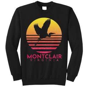 Montclair Virginia Distressed Retro Sunset Heron Sweatshirt