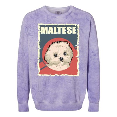 Maltese Vintage Dog Poster Design Colorblast Crewneck Sweatshirt