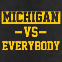 Michigan Vs Everybody Adult Drive Performance Visor