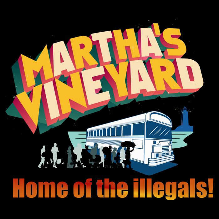 Martha's Vineyard Home Of The Illegals Funny Mug