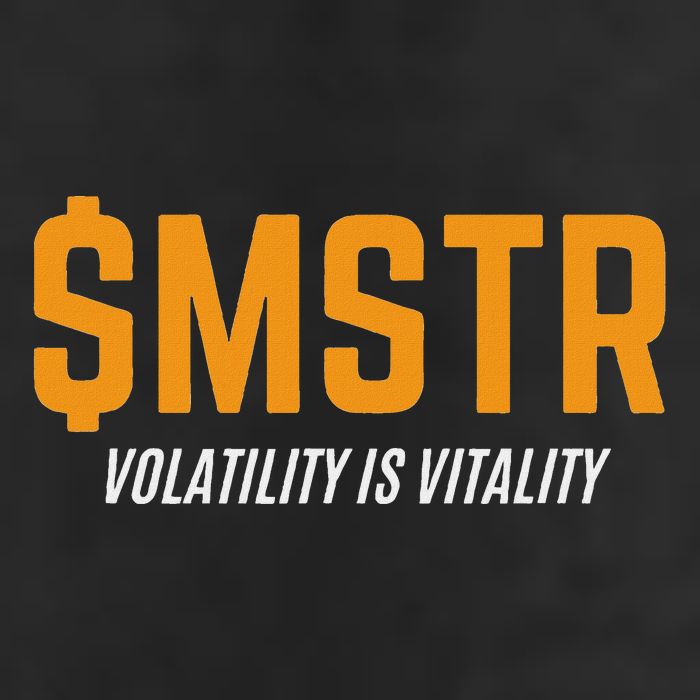 $Mstr Volatility Is Vitality Microstrategy Bitcoin 25L Jumbo Tote
