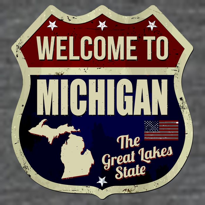 Michigan Vintage Metal Road Sign Logo Wool Snapback Cap